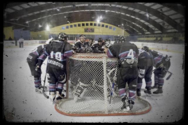 Photo hockey Dammarie les Lys et Xavier Baudon - Division 3 : Dammarie-les-Lys (Les Caribous)