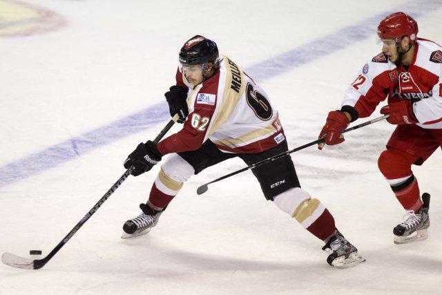 Photo hockey Entrevue avec Francis Meilleur - Ligue Magnus : Epinal  (Les Wildcats)
