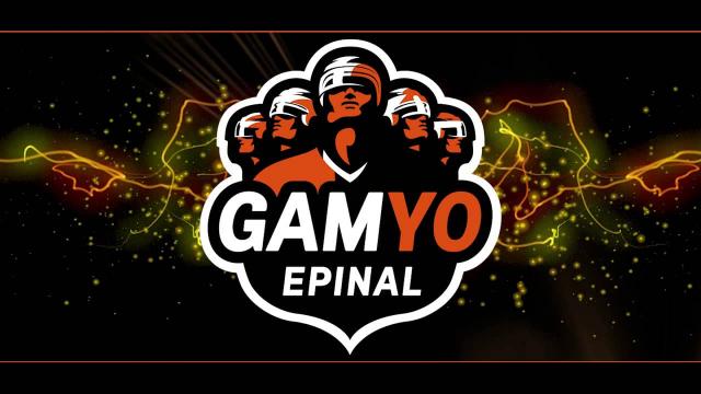 Photo hockey Epinal : analyse, ambition et perspective - Ligue Magnus : Epinal  (Les Wildcats)