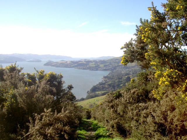 Photo hockey Le hockey chez les kiwis, saison 2 - Hockey dans le Monde