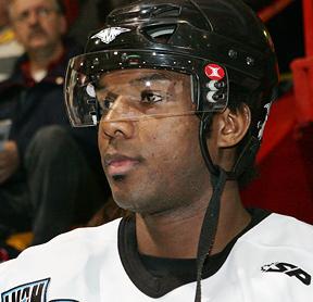 Photo hockey LM : Epinal - interview de Maxime Boisclair - Ligue Magnus : Epinal  (Les Wildcats)