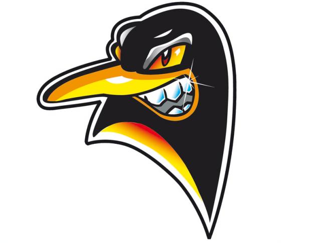 Photo hockey Morzine : Interview Nicolas d