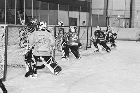 Photo hockey Prsentation de l