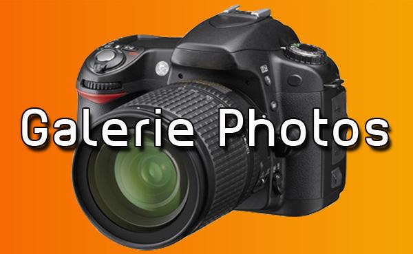 Photo hockey 1/2 Finale : Photos:Grenoble- Brianon (Match 3) - Ligue Magnus : Brianon  (Les Diables Rouges)