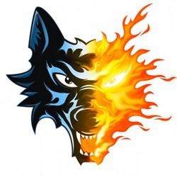 Photo hockey 24 Heures avec les Bruleurs de Loups - Ligue Magnus