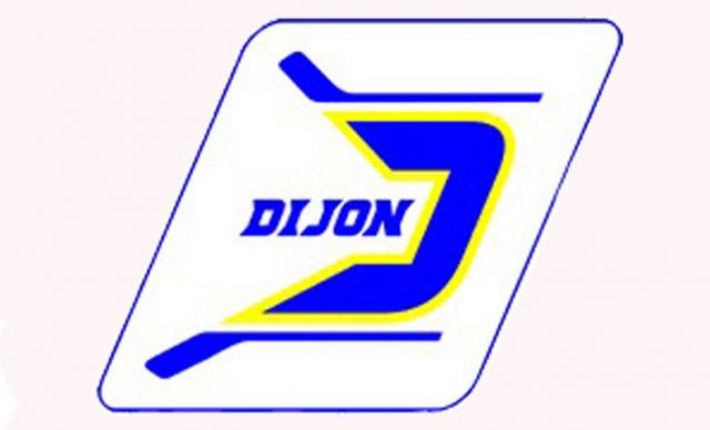 Photo hockey 8me finale COS-Est - Hockey Mineur