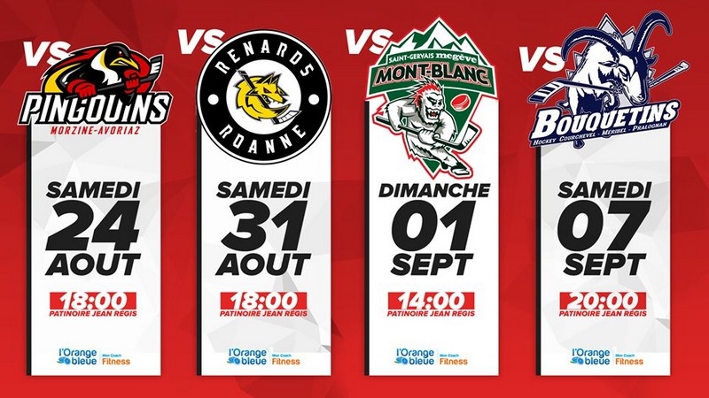 Photo hockey Annecy : Programme des matchs amicaux  - Transferts 2019/2020 : Annecy (Les Chevaliers du Lac)