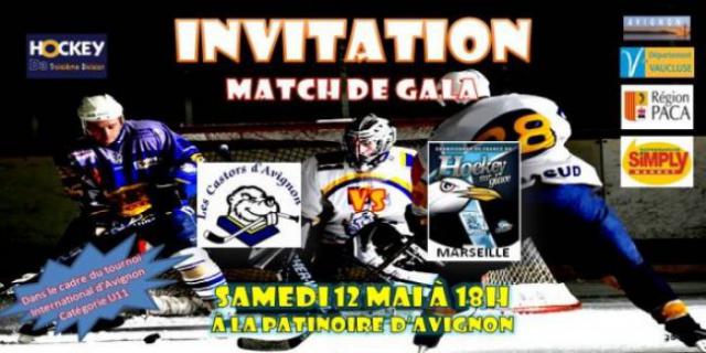 Photo hockey Avignon is back - Hockey en France : Avignon (Les Castors)