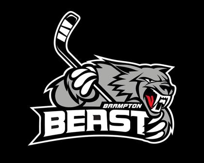 Photo hockey Bozon redescend en ECHL - NHL : National Hockey League - AHL