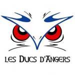 Photo hockey CDL Angers : Dernire minute - Ligue Magnus : Angers  (Les Ducs)