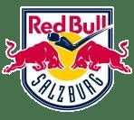 Photo hockey CHL : Des Autrichiens pour les Dragons - Europe : Continental Cup - CHL : Rouen (Les Dragons)