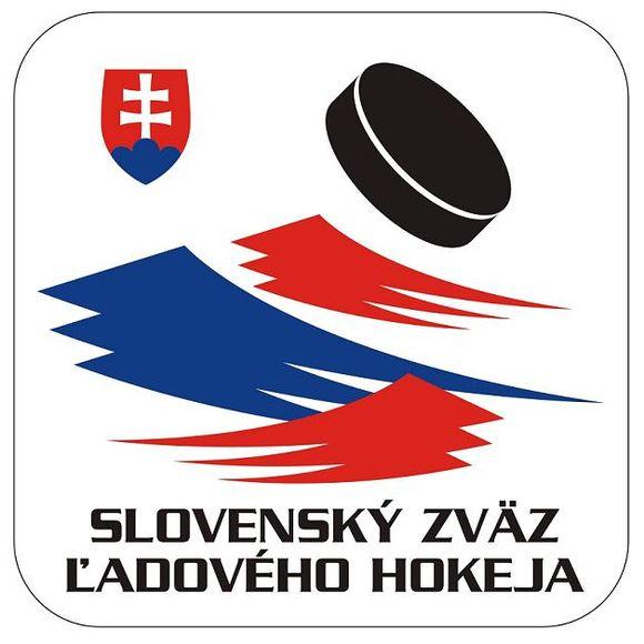 Photo hockey Composition slovaque face aux Bleus - Equipes de France
