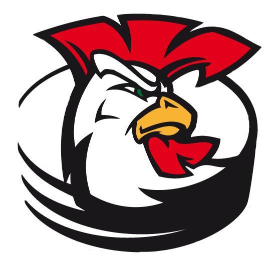 Photo hockey D1 : Courbevoie sanctionn - Division 1 : Courbevoie  (Les Coqs)