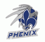 Photo hockey D1 : Des nouvelles de Reims - Division 1