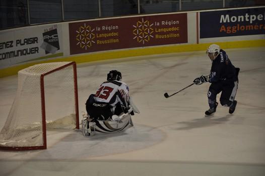 Photo hockey  D1 : Effectif boucl chez les Vipers - Division 1 : Montpellier  (Les Vipers)