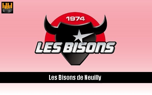 Photo hockey D1 : un attaquant � Neuilly/Marne -  : Neuilly/Marne (Les Bisons)