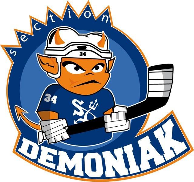 Photo hockey D1: Supporters: Section Dmoniak - Division 1 : Montpellier  (Les Vipers)