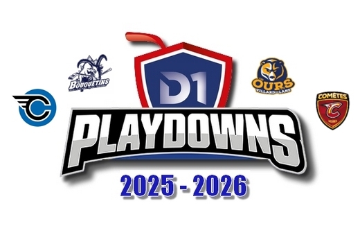 Photo hockey D1 Maintien - Programme Match 1 & 2 - 13 , 14 & 15 Mars 2026 - Division 1