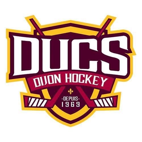 Photo hockey D2 : FV Paris - Dijon report - Division 2