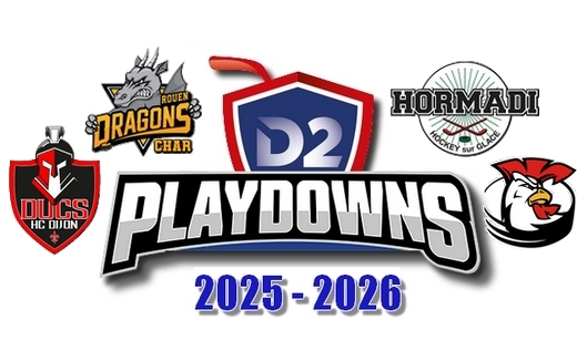 Photo hockey D2 - R�sultats MAINTIEN 1�re journ�e - 28/02/2026 - Division 2