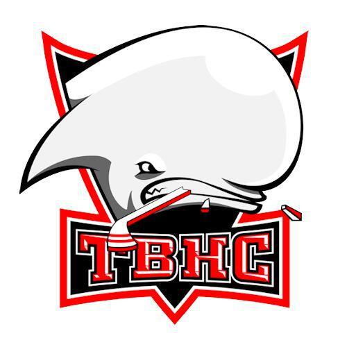 Photo hockey D2 : Toulouse-Blagnac a un nouveau logo - Division 2 : Toulouse-Blagnac (Les Belougas)