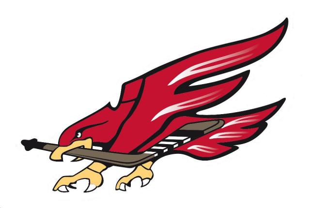 Photo hockey D3 : Besanon recrute ! - Division 3 : Besanon (Les Aigles)