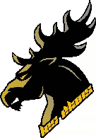 Photo hockey D3 : Champigny recrute - Division 3 : Champigny-sur-Marne (CHC - Les Elans)