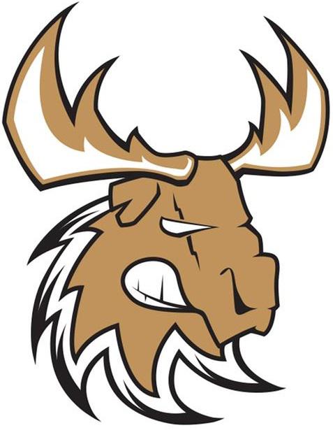 Photo hockey D3 : Les Caribous ont besoin de vous - Division 3 : Dammarie-les-Lys (Les Caribous)