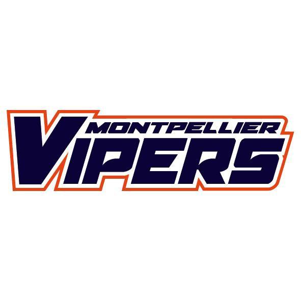 Photo hockey D3 : Montpellier priv de playoffs - Division 3 : Montpellier  (Les Vipers)