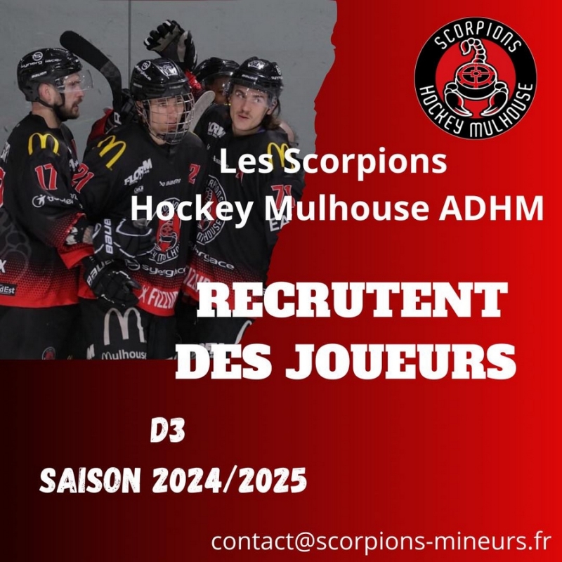 Photo hockey D3 - Mulhouse recrute Joueurs - Division 3