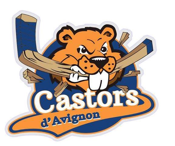 Photo hockey D3 : Nouveau logo pour Avignon - Division 3 : Avignon (Les Castors)