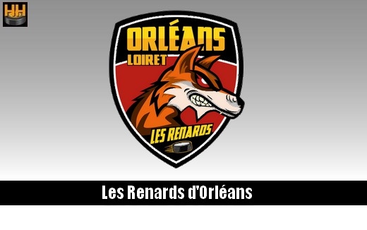 Photo hockey D3 : Orlans recherche 1 gardien et 2 dfenseurs - Division 3 : Orlans (Les Renards)