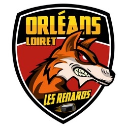 Photo hockey D3 - Orlans recrute joueurs - Division 3 : Orlans (Les Renards)