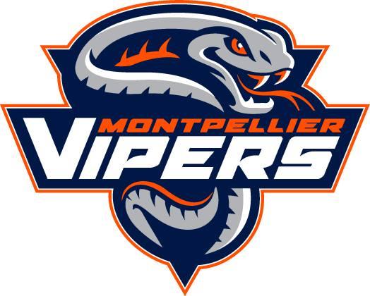 Photo hockey D3 : Un nouveau logo pour Montpellier - Division 3 : Montpellier  (Les Vipers)