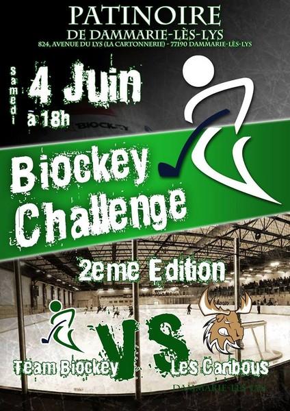 Photo hockey Dammarie : Challenge Biockey 2me dition    - Division 3 : Dammarie-les-Lys (Les Caribous)