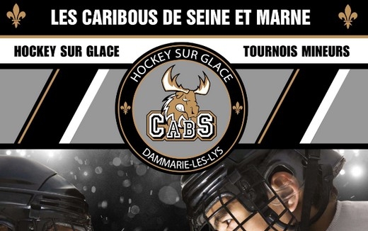 Photo hockey Dammarie - Tournois U7-U9, U11 et U13 - Hockey Mineur : Dammarie-les-Lys (Les Caribous)