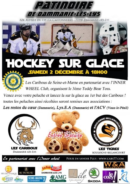 Photo hockey Dammarie-Les-Lys: A vos peluches! - Division 3 : Dammarie-les-Lys (Les Caribous)