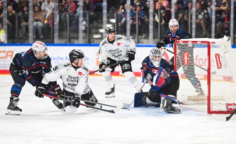 Photo hockey DEL : Les requins retrouvent du mordant - Hockey en Europe