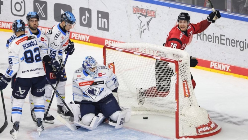 Photo hockey DEL : Un aileron dans le Rhin - Hockey en Europe