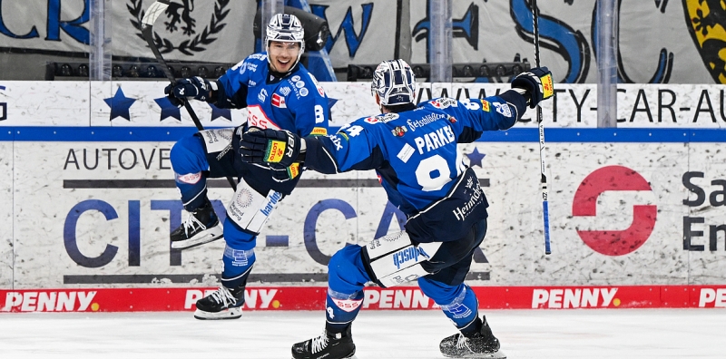 Photo hockey DEL : Un brin d