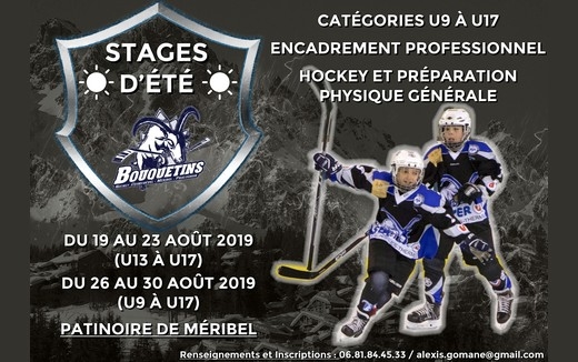 Photo hockey Deux stages d