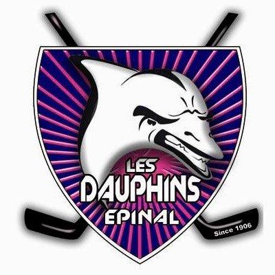 Photo hockey Epinal : nouveau logo et nouveaux maillots - Ligue Magnus : Epinal  (Les Wildcats)