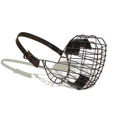 Photo hockey Genve: canibal is legal! - Suisse - Divers