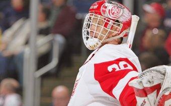 Photo hockey Hasek en retraite ? - NHL : National Hockey League - AHL