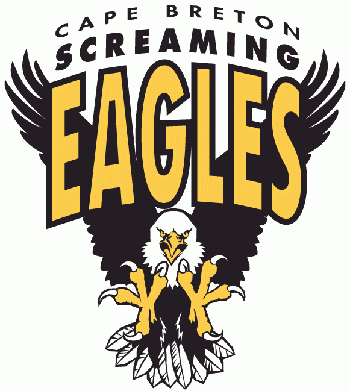 Photo hockey J. F. David rebondit  Cap-Breton - Hockey dans le Monde