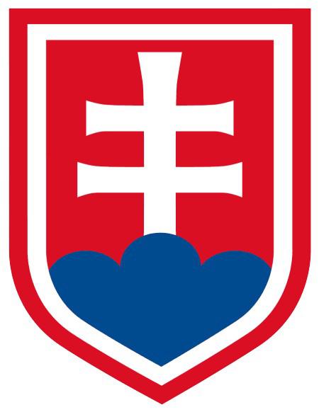 Photo hockey JO : Les Slovaques en outsider ? - Jeux olympiques