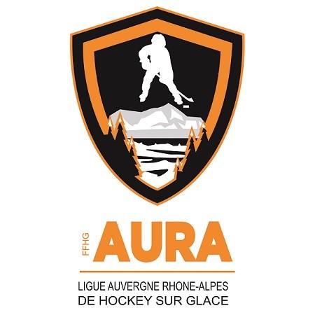 Photo hockey La Ligue Auvergne Rhne Alpes recrute un Assistant Technique Fdral  - Hockey en France
