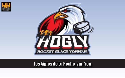 Photo hockey La Roche dfenseurs U20 / D3 - Division 3 : La Roche-sur-Yon (Les Aigles)