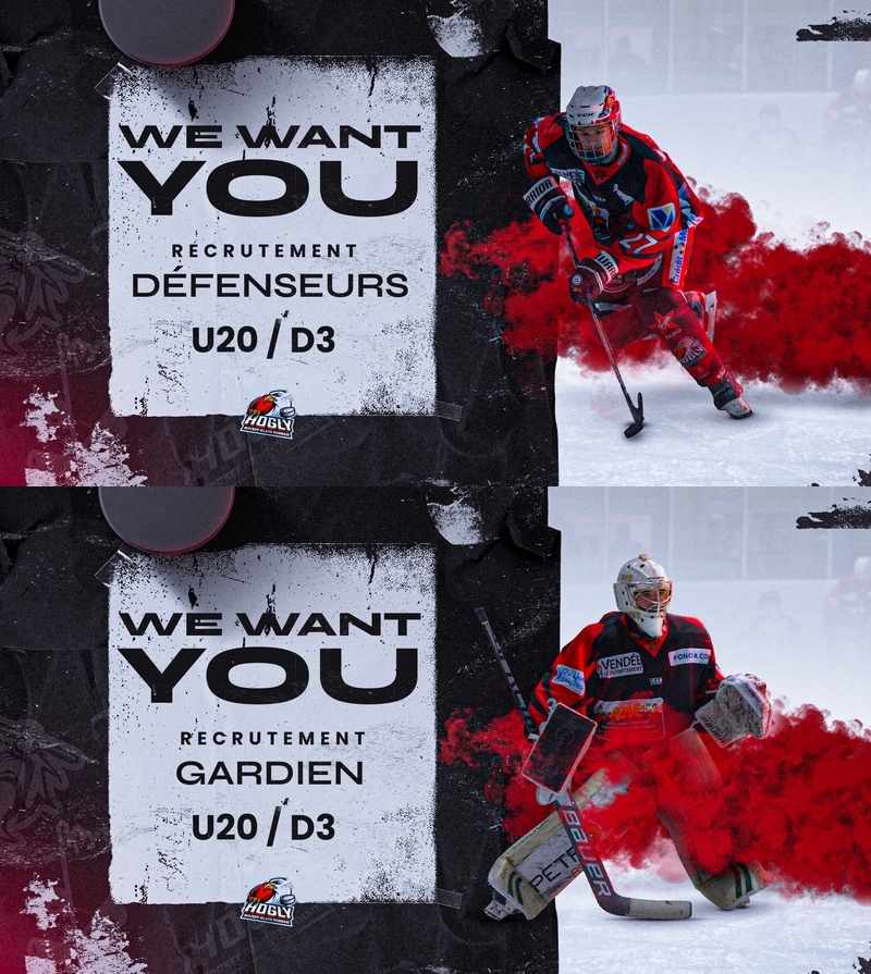 Photo hockey La Roche recrute dfenseurs et 1 gardien U20 / D3 - Division 3 : La Roche-sur-Yon (Les Aigles)