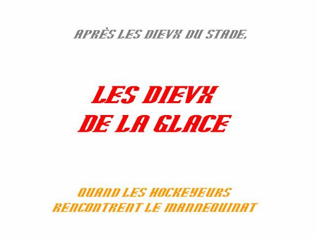 Photo hockey La Roche/Yon : les Dieux de la glace - Division 2 : La Roche-sur-Yon (Les Aigles)